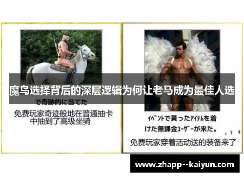 魔鸟选择背后的深层逻辑为何让老马成为最佳人选