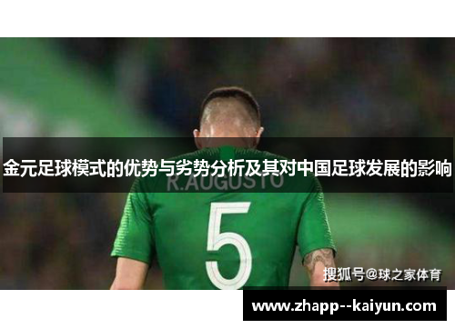 金元足球模式的优势与劣势分析及其对中国足球发展的影响