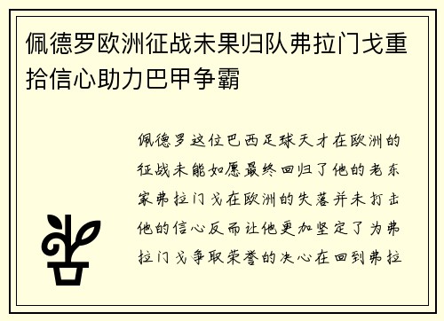 佩德罗欧洲征战未果归队弗拉门戈重拾信心助力巴甲争霸